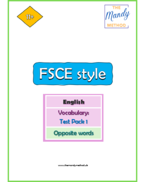 Future Stories (FSCE) 11+ - Vocabulary: Opposite words Test Pack 1 (PDF Digital Download)